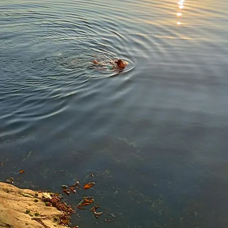 Апартаменты Seaview Karmoy